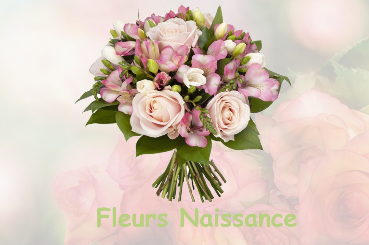 fleurs naissance ILONSE