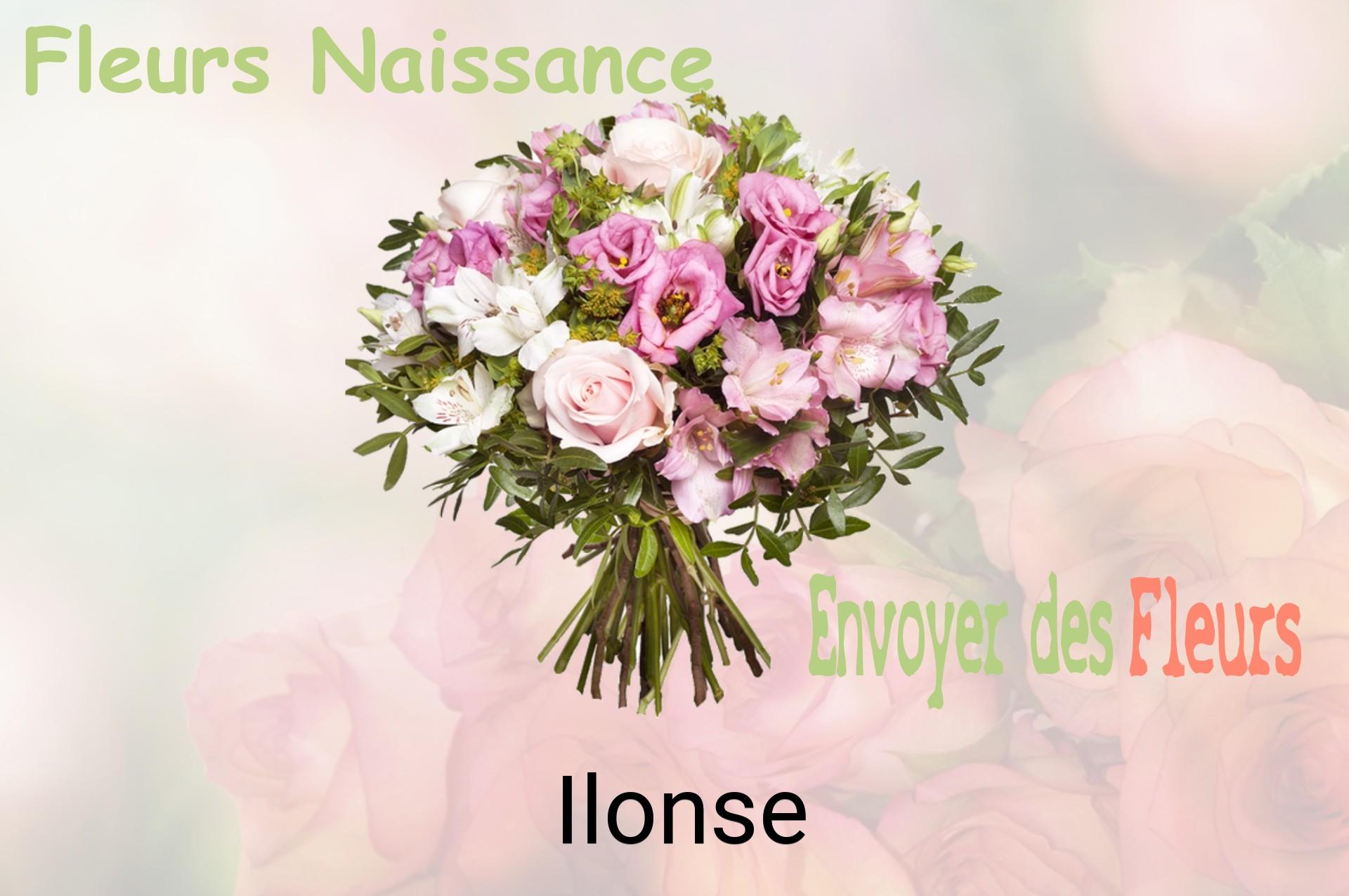 Bouquet de fleurs de naissance livré à Ilonse