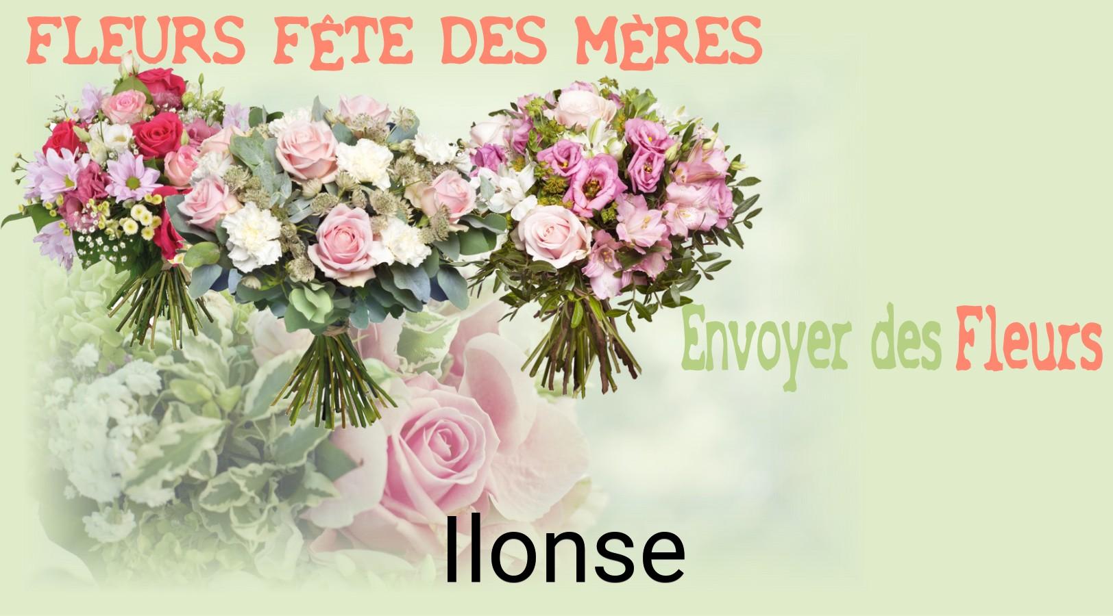 Bouquet de Fête des Mères livré à Ilonse