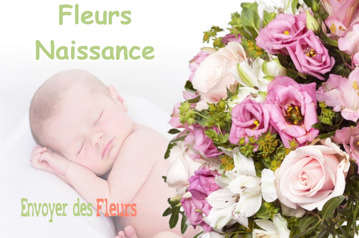 lIVRAISON FLEURS NAISSANCE à ILONSE